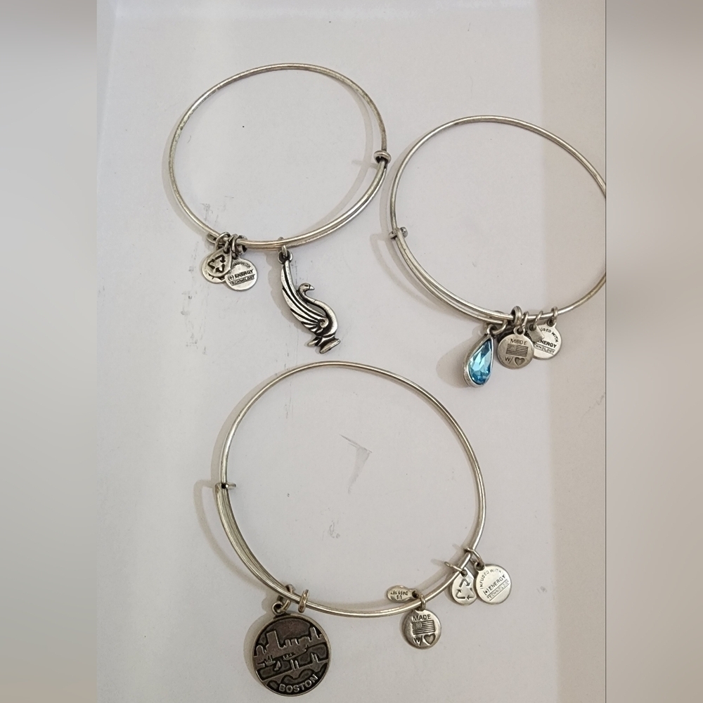 2013 Alex and Ani "Boston" Silver Charmed Bangle Bracelet With 2 Bonus Bracelet